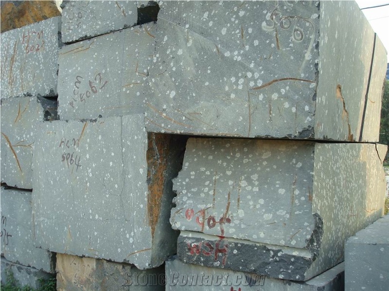 Gods Flower Blocks, China Black Granite