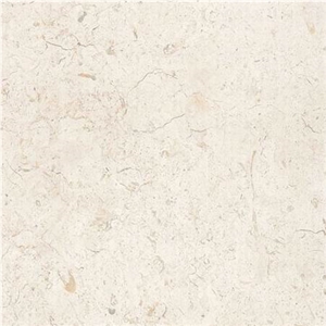 Bone Light Limestone Slabs & Tiles, Hebron Bone Limestone Floor Covering Tiles, Walling Tiles