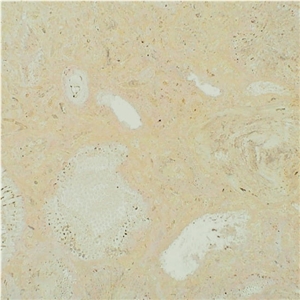 Mexican Coral Stone Tiles