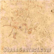 Jerusalem Bone Limestone Slabs & Tiles, Israel Beige Limestone
