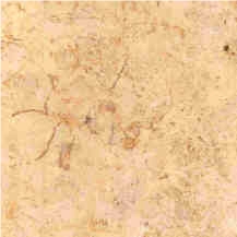 Jerusalem Bone Limestone Slabs & Tiles, Israel Beige Limestone Jerusalem Bone Limestone Slabs & Tiles, Israel Beige Limestone