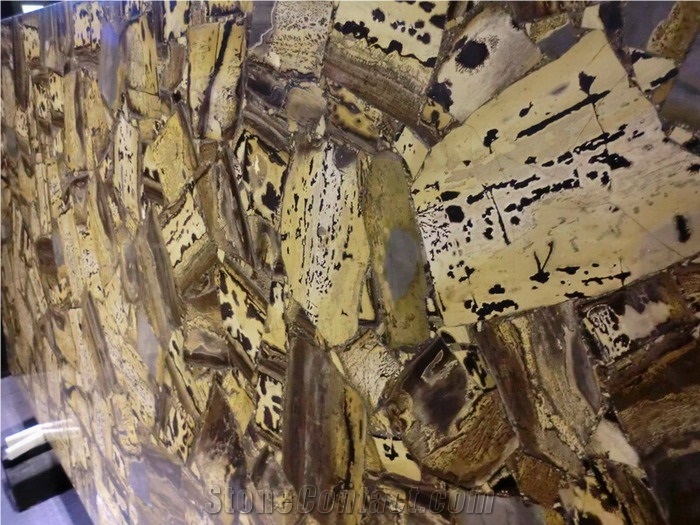 Fossil Green Semiprecious Stone