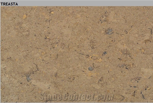 Triesta Limestone Slabs & Tiles, Egypt Beige Limestone