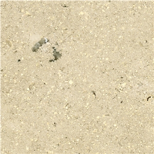 Sinai Pearl Light Limestone Tile, Egypt Beige Limestone