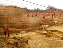 XL-sandstone Quarry-sunny Gold