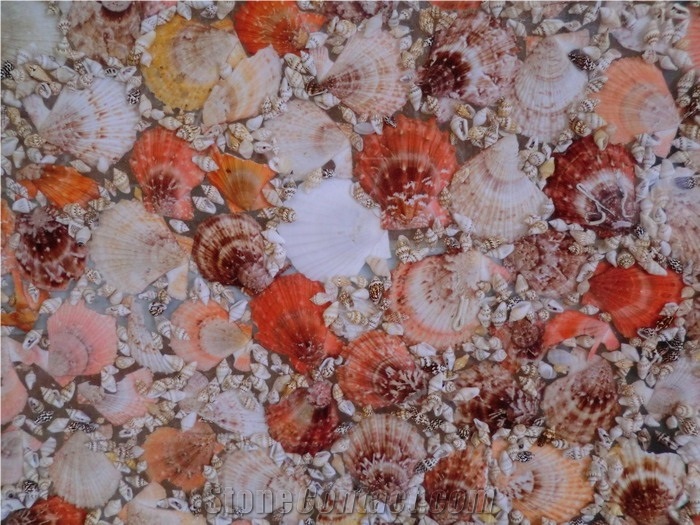 Shell Precious Stone