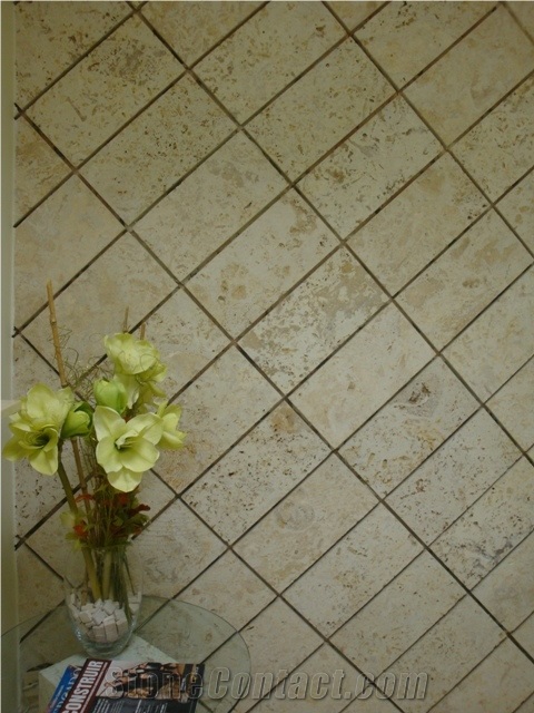 Classic Coral Stone Floor Tiles