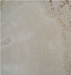 Classic Coral Stone Tile Ncs19