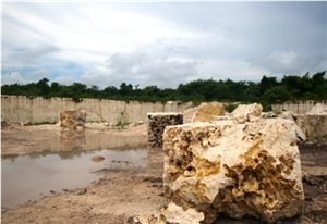 Coral Stone Quarry, Dominican White Coral Stone Blocks