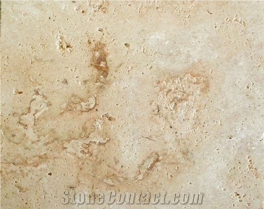 Coralina Beige Polished Coral Stone Tile
