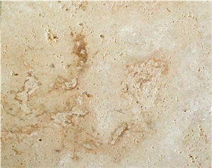 Coralina Beige Polished Coral Stone Tile