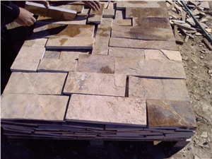 Fossil Quartzite Stone Paving Stone