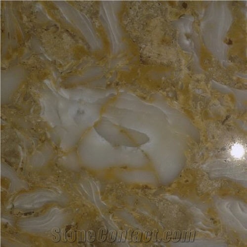 Shells Reef Gold Limestone Slabs & Tiles