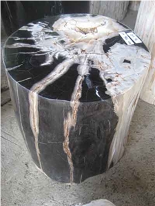 Petrified Wood Fuul Polished Stools Petrified Wood Fuul Polished Stools