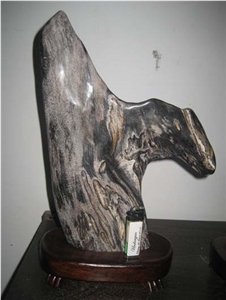 Petrified Wood Home Decor