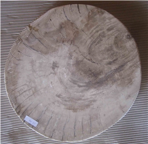 Petrified Wood Home Slice