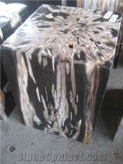 Petrified Wood Stools Square
