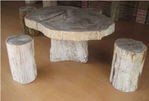 Petrified Wood Table Slab