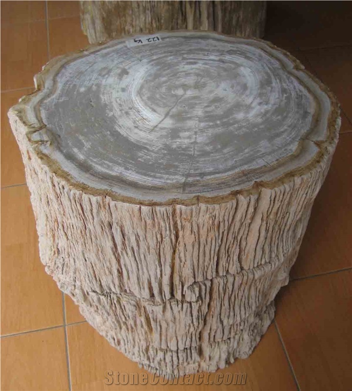 Petrified Wood Top Polished Stools