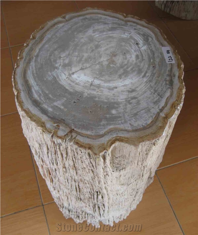 Petrified Wood Top Polished Stools