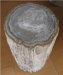 Petrified Wood Top Polished Stools