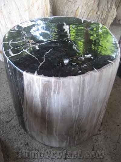 Petrified Wood Top Polished Stools