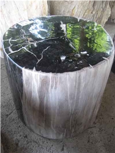 Petrified Wood Top Polished Stools