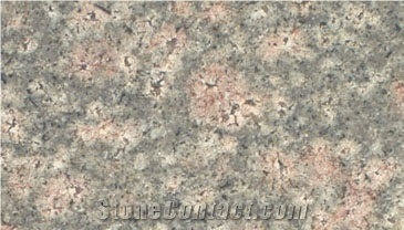 Bala Flower Granite Tile