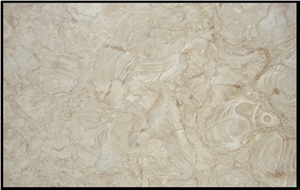 SShell Stone Limestone Slabs & Tiles, Syria Beige Limestone