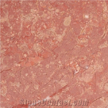 Red Moneasaa Limestone Slabs & Tiles
