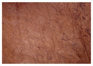 Nova Gold Marble Tile,Red Marble
