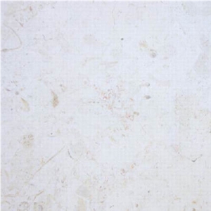 Dominican White Coral Stone Tiles Dominican White Coral Stone Tiles