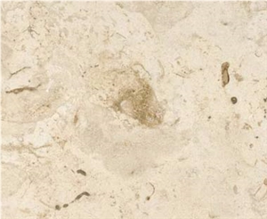 Mexican Shell Stone Limestone Slabs & Tiles