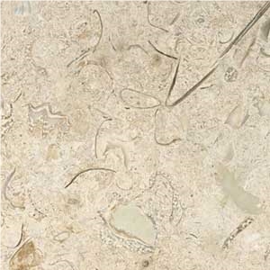 Sisal Shellstone Limestone Tile, Mexico Beige Limestone