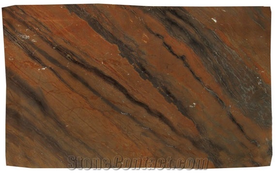 Pau Brazil Quartzite Slabs & Tiles, Brazil Brown Quartzite
