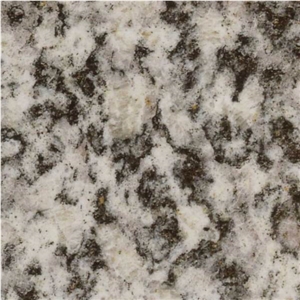 Serizzo Formazza Chiaro Granite Slabs & Tiles