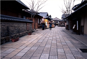 Granite Paving Stone