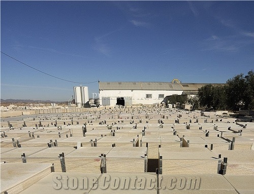 Amarillo Fosil Limestone Slab, Spain Yellow Limestone