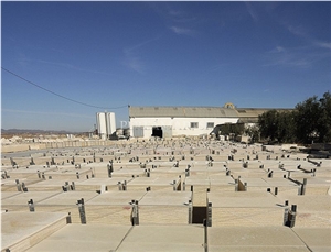 Amarillo Fosil Limestone Slab, Spain Yellow Limestone
