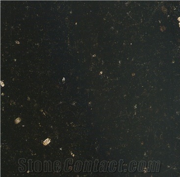 Black Galaxy Granite Slabs & Tiles