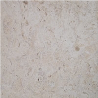 White Coral Stone Tile First 16x16