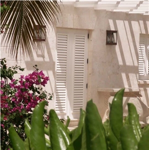 Dominican Coral Stone Wall Cladding, White Coral Stone Facade