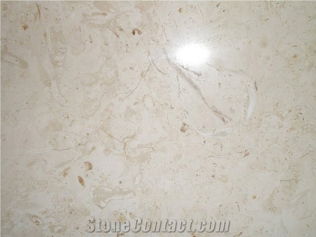 Jasmien 01Jerusalem Royal Limestone Honed Tile