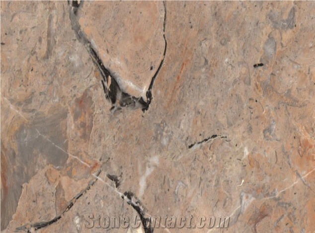 Gris Duquesa, Duchess Grey, Gris Duquesa Marble Slabs & Tiles