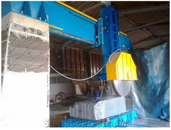 Multiple Saw PW5 TK1600