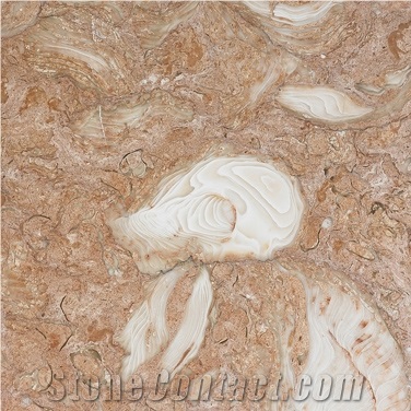 Shells Reef Pink Limestone Tile