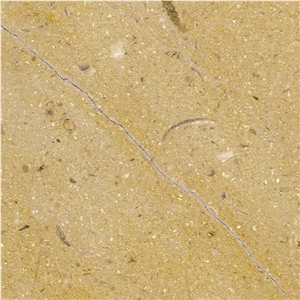 Sinai Limestone Tile,Egypt Yellow Limestone
