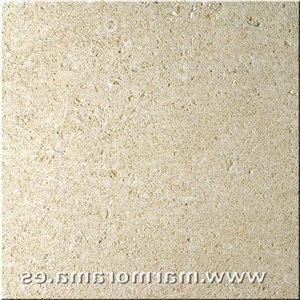 Amarillo Fosil Limestone Tiles And Slabs