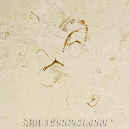 Trani Cocciolato Limestone Slabs & Tiles, Italy Beige Limestone