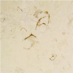 Trani Cocciolato Limestone Slabs & Tiles, Italy Beige Limestone